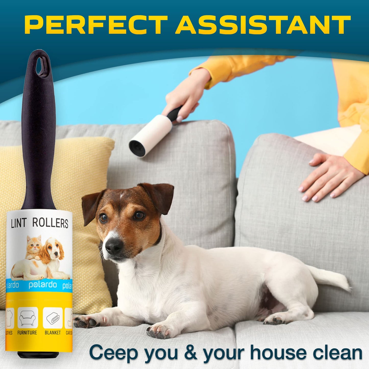 Lint Rollers for Pet Hair. Chosen for real quality, fits naturally into modern pet homes.