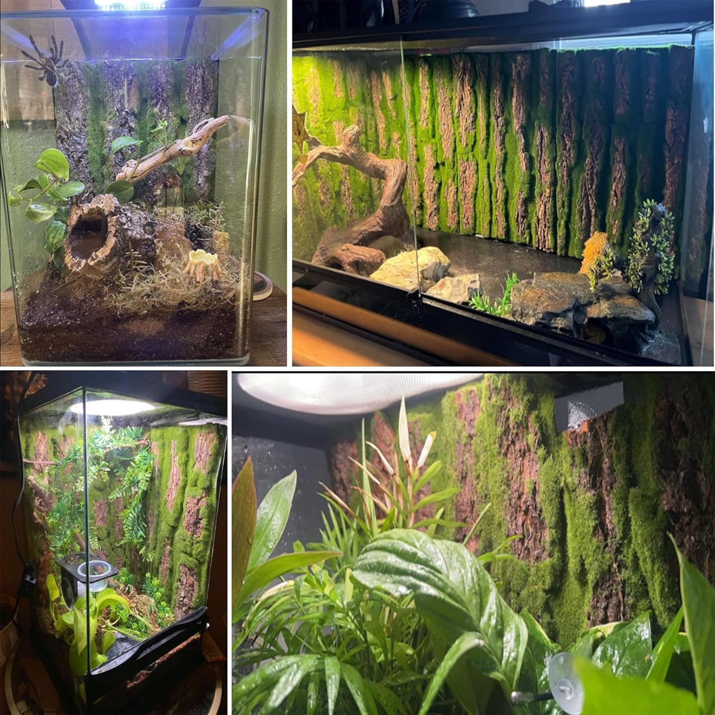 kathson Reptile Terrarium Cork Background,Bearded Dragon Tank Backdrop Wall Decor with Artificial Moss Reptiles Climbing Mat Habitat Cork Bark Decoration for Lizard Snake Gecko Chameleon(4 Pcs)