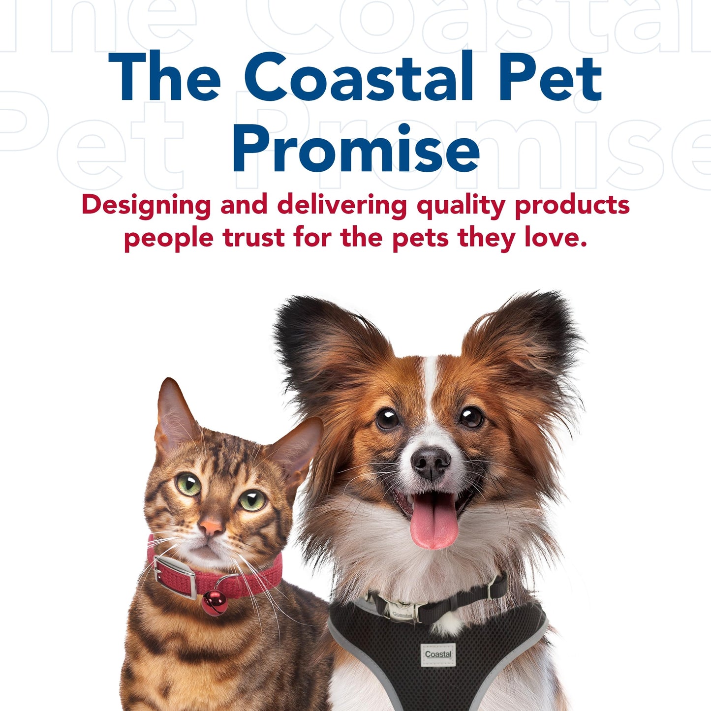 Coastal Pet Safari Professional Dog Nail Trimmer. Chosen for real quality, fits naturally into