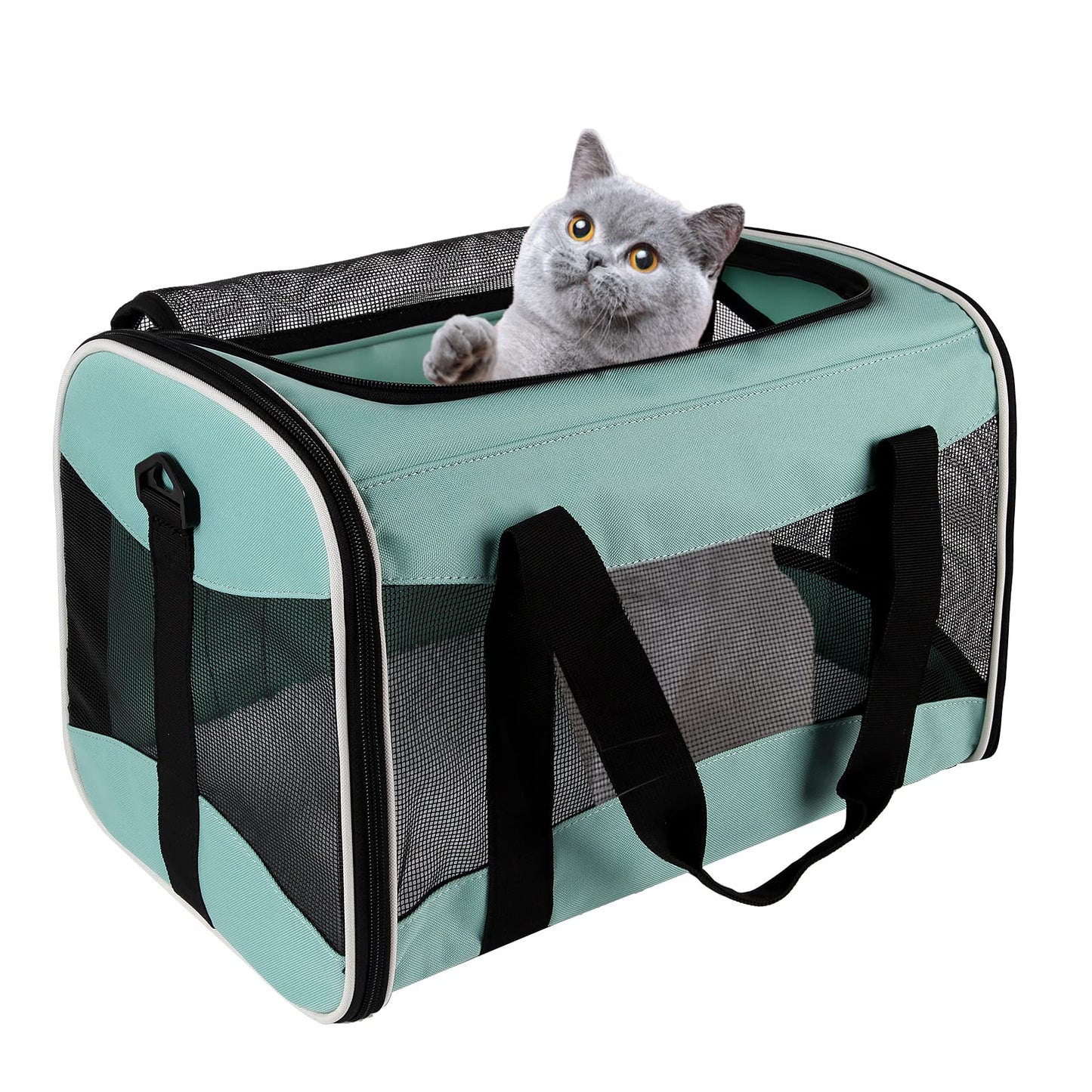 Cat Dog Carriers Soft. Chosen for real quality, fits naturally into modern pet homes.