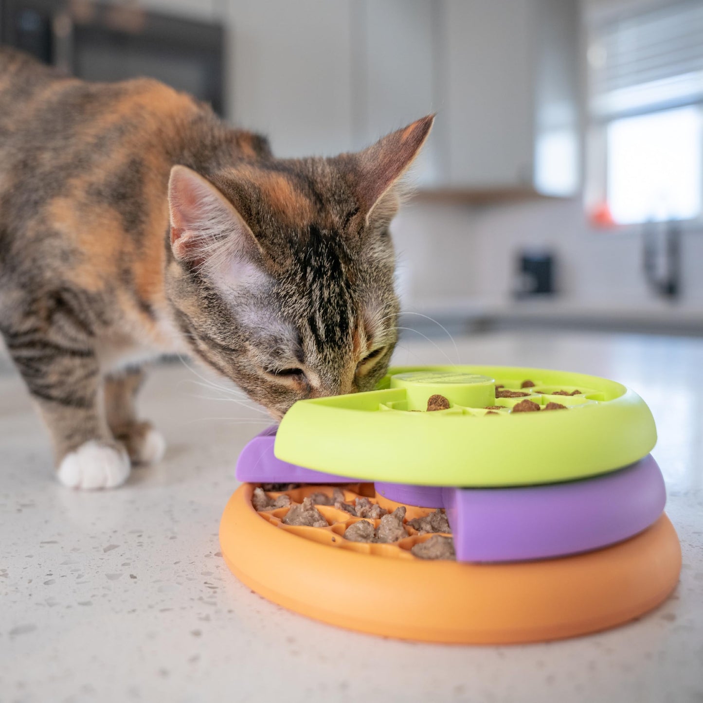 Catstages Nina Ottosson Kitty Lickin' Layers Cat Toy. Chosen for real quality, fits naturally into