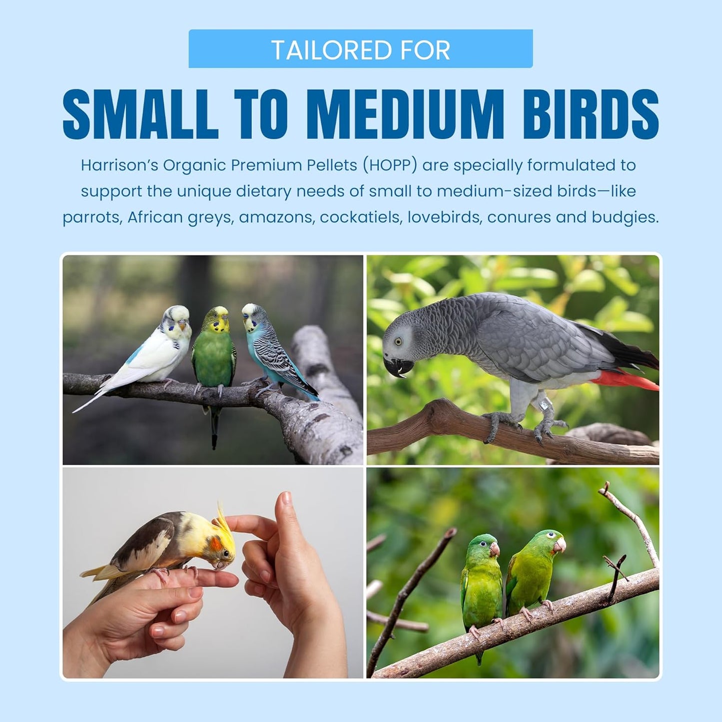 Harrison's Bird Foods HOPP Premium Pellets – Organic, Nutritionally Balanced Food for Small to Medium Pet Birds, Cold-Pressed, Low Fat, Vet-Developed, 25LB