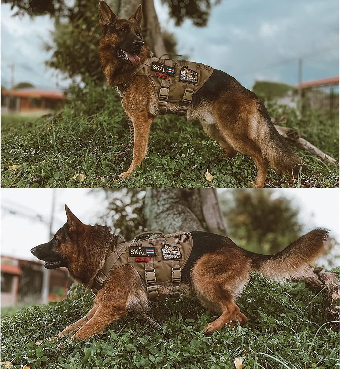 OneTigris No Pull Tactical Dog Harness for Medium Large Dog, Mesh Design Breathable Service Dog Vest with Handle, Military Dog Vest Harness with Molle Panels for Walking Hiking Training (XL, Brown)