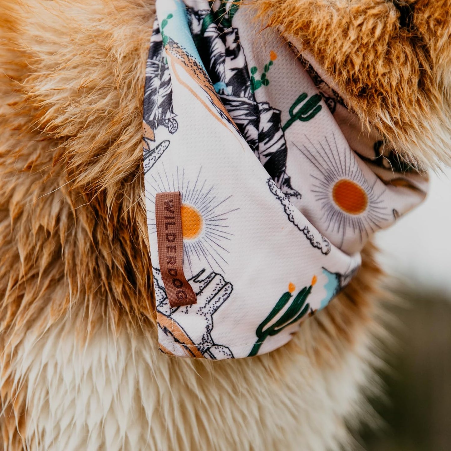 Wilderdog Dog Bandana with Lightweight Quick Drying Poly-Blend Mesh Material in Laredo