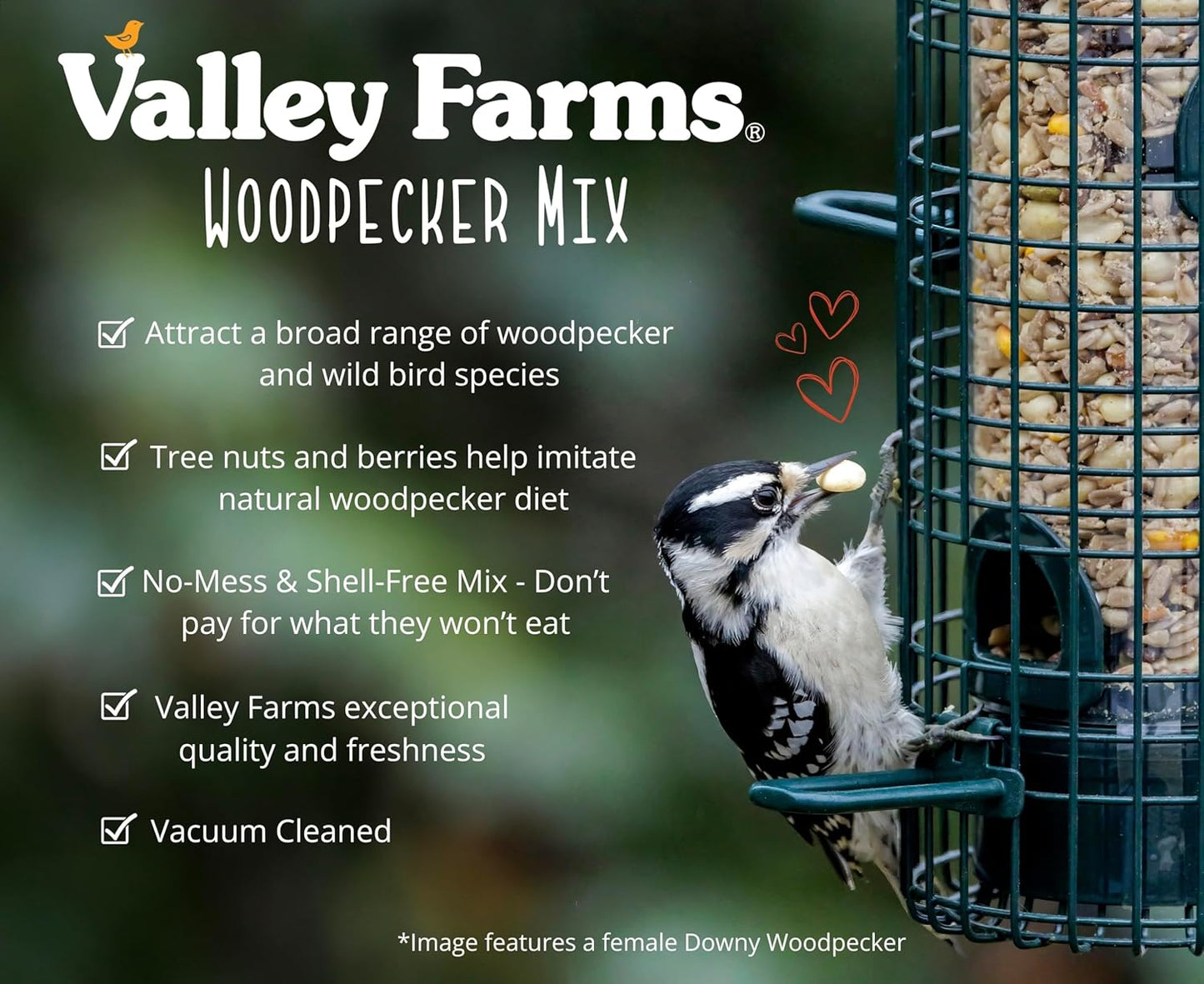 Valley Farms Woodpecker Mix, No Mess Bird Seed for Outdoor Feeders, W/Peanuts and Sunflower Hearts for Birds, Woodpecker Food, Attract All Bird Species (4 LBS)
