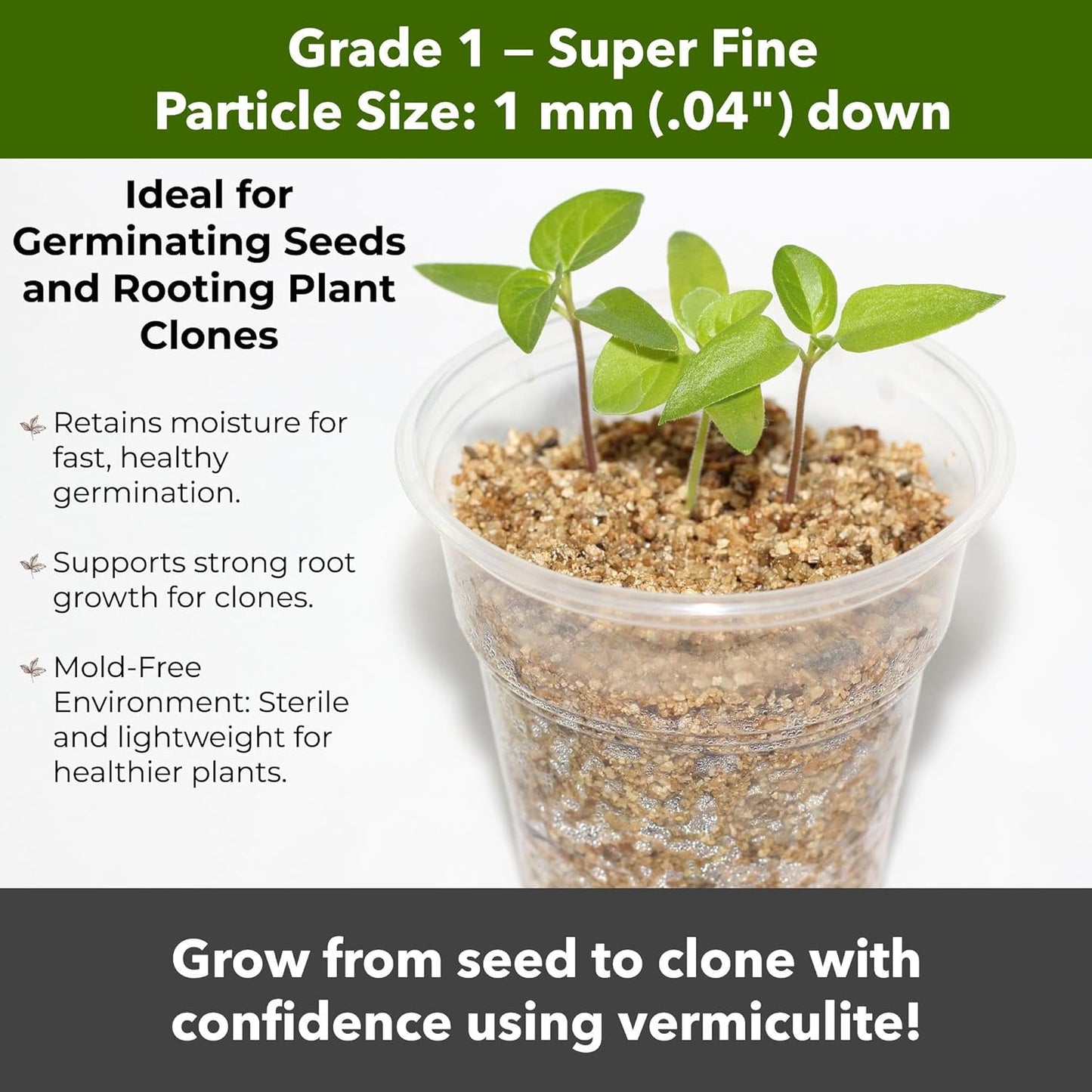 Organic Superfine Vermiculite for Indoor Gardening Plants and Mushrooms – Enhances Soil Aeration, Seed Germination, Rooting Cuttings – Small Packages and Bulk (Vermiculite Grade 1 - Superfine, 5 qt)