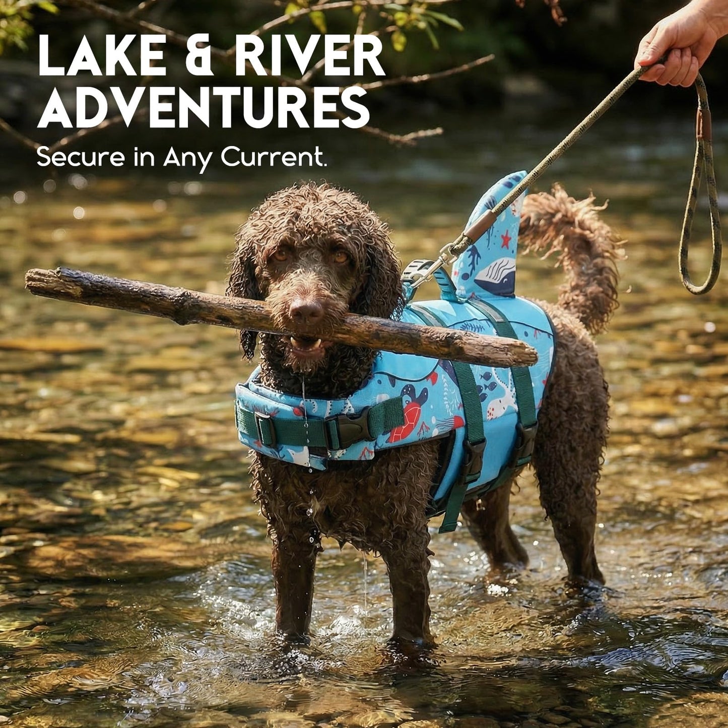 ASENKU Dog Life Jacket. Chosen for real quality, fits naturally into modern pet homes.