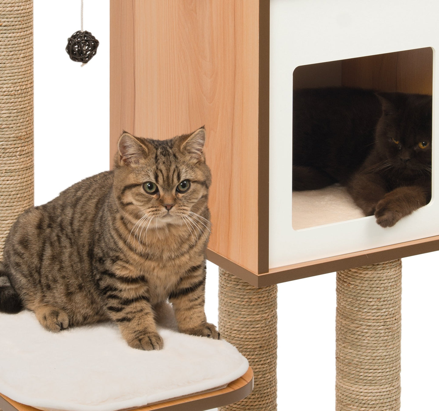 Vesper Cat Tree. Chosen for real quality, fits naturally into modern pet homes.