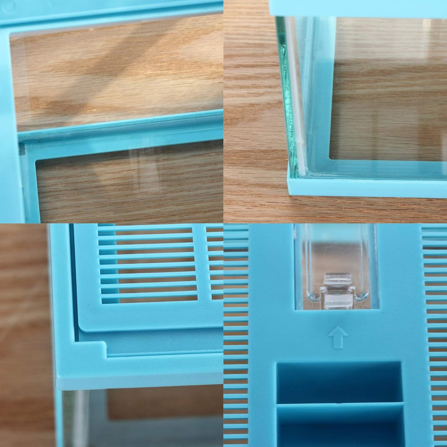 crapelles ReptileTerrarium Color Blue Spider Box, 7.8x7.8x5.9'' Tarantula Container Gecko Habitat Insect Enclosure pet Tank Frog Carrier Snail Hermit Crab House Cricket breeding Geometric Cube Bowl