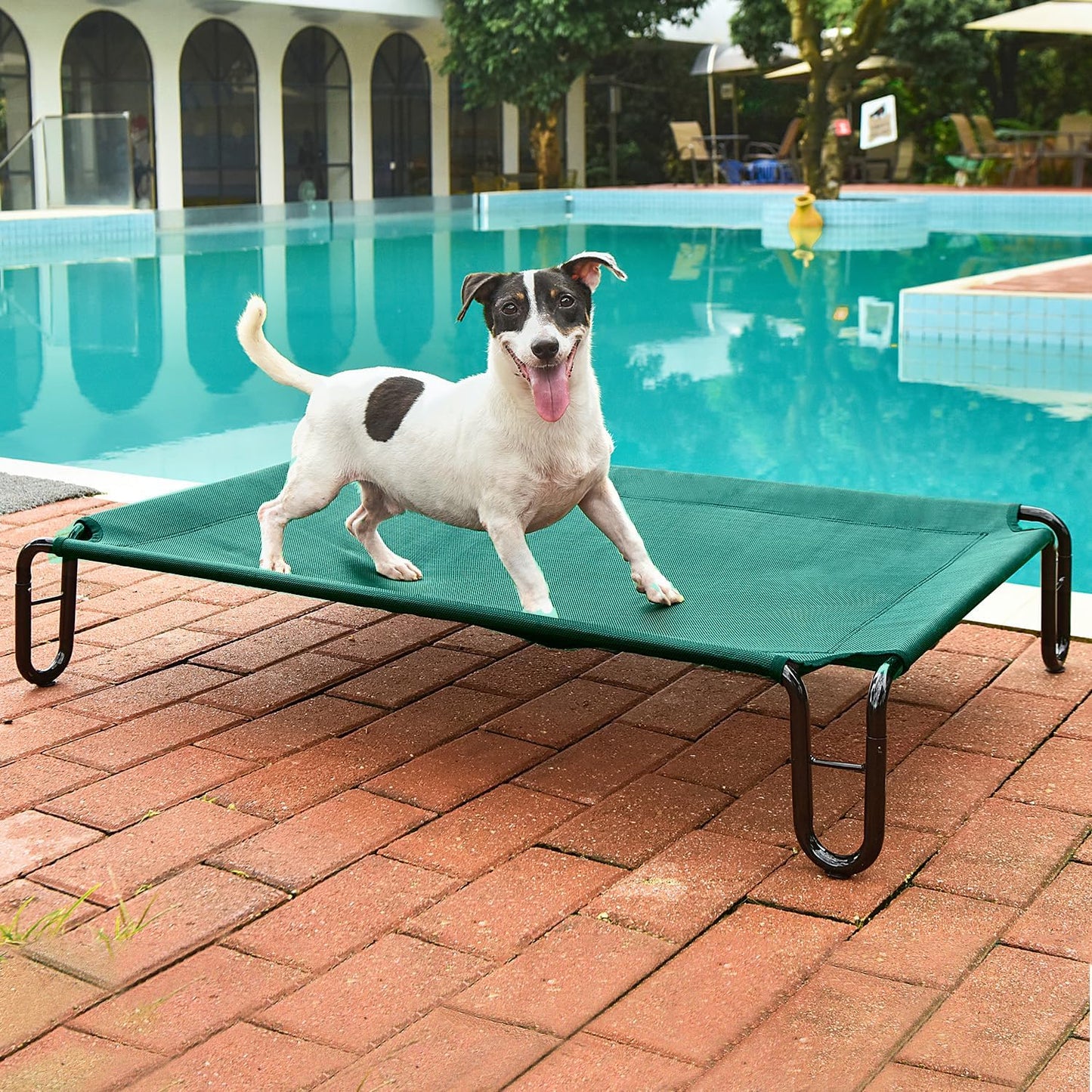 Pettycare Elevated Outdoor Dog Bed - Small Dog Cot, Waterproof, Cooling with Teslin Mesh, Non Slip, Up to 35 lbs, Green