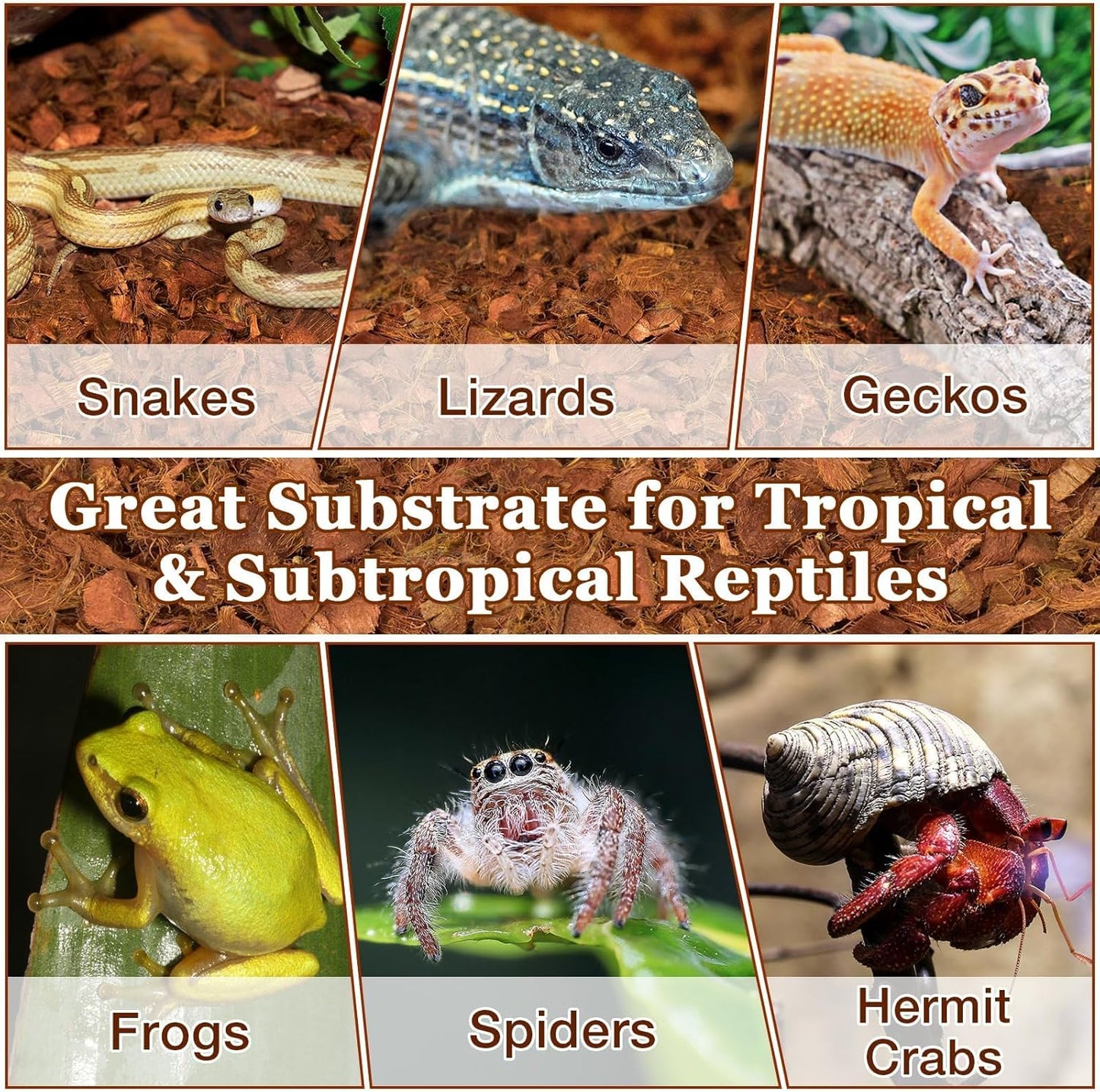 Halatool 10LB Coconut Chips Substrate for Reptiles 72QT Natural Coco Husk Snake Bedding for Ball Python Coco Coir Chip Terrarium Substrate for Tortoise Frog Gecko Hermit Crab Hamster