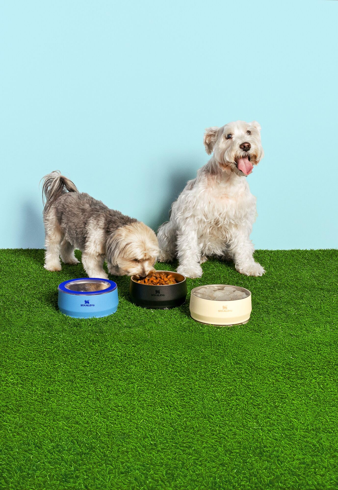 STANLEY Pet Bowl | 3. Chosen for real quality, fits naturally into modern pet homes.