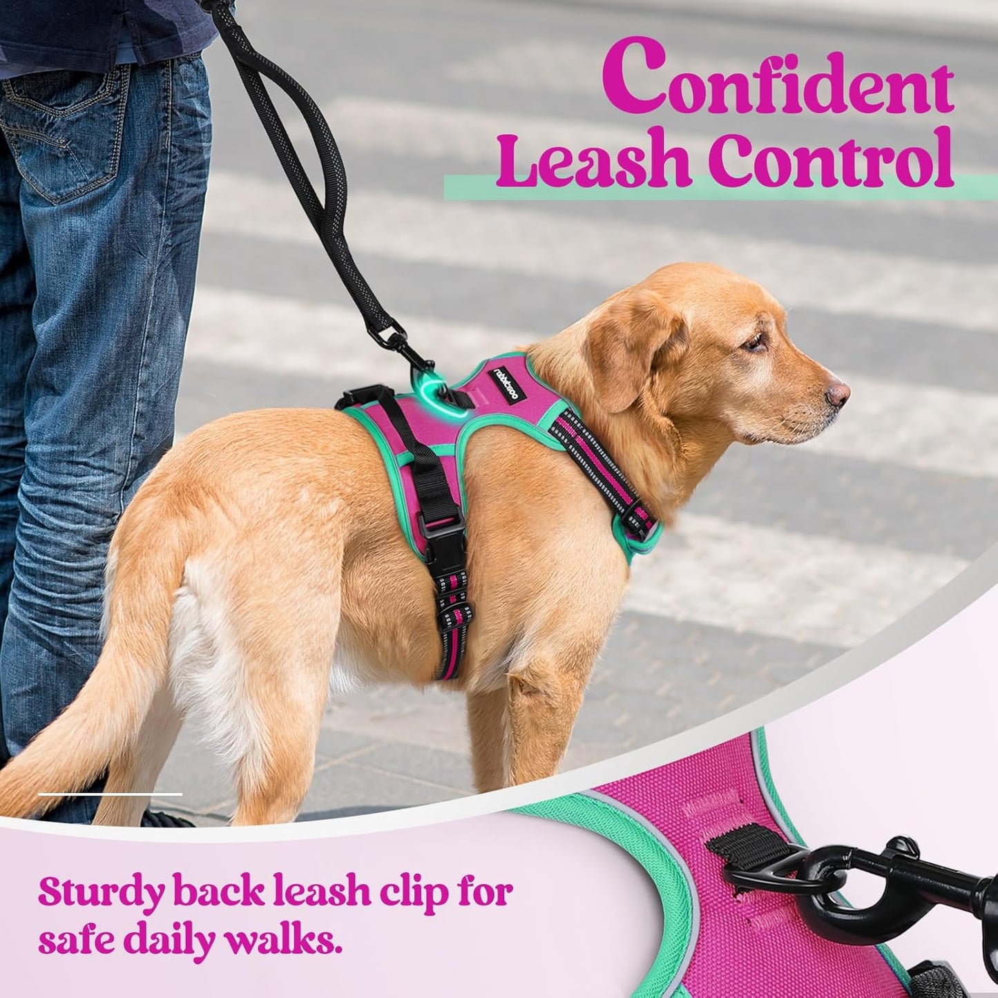 rabbitgoo Dog Harness No Pull with 2 Leash Clips, Adjustable Soft Padded, Reflective Oxford No Choke Pet Vest with Easy Control Handle for Large Dogs, Hot Pink & Turquoise, S