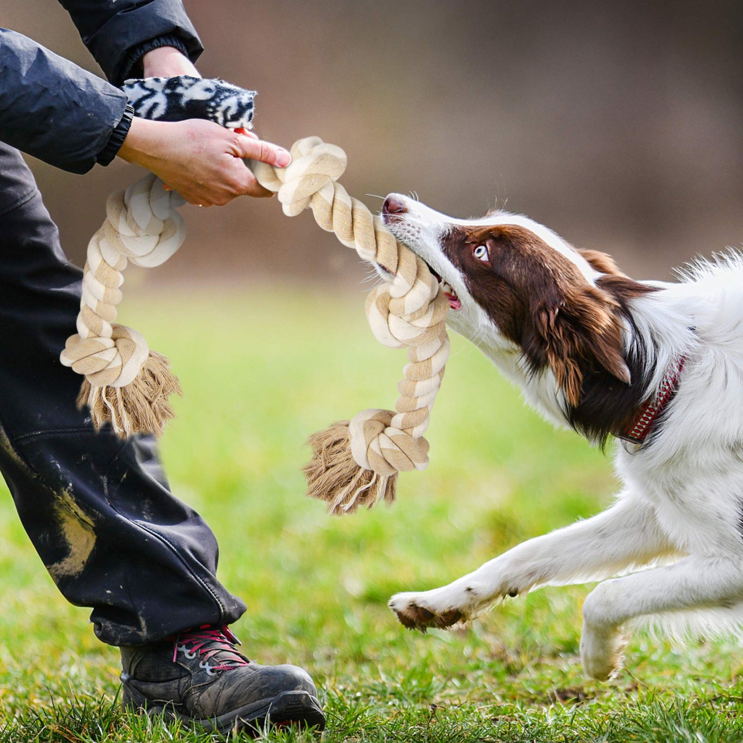 Fida Dog Rope Toys for Aggressive Chewers. Chosen for real quality, fits naturally into modern pet