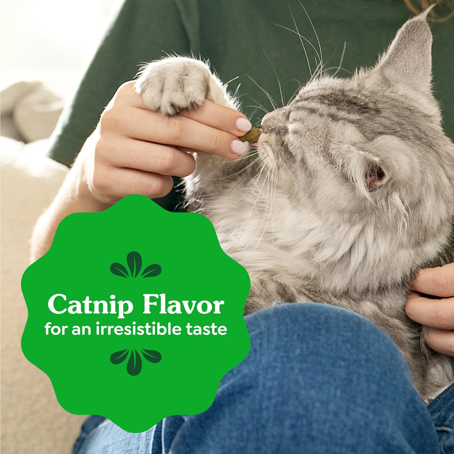 Greenies Feline Natural Dental Cat Treats. Chosen for real quality, fits naturally into modern pet
