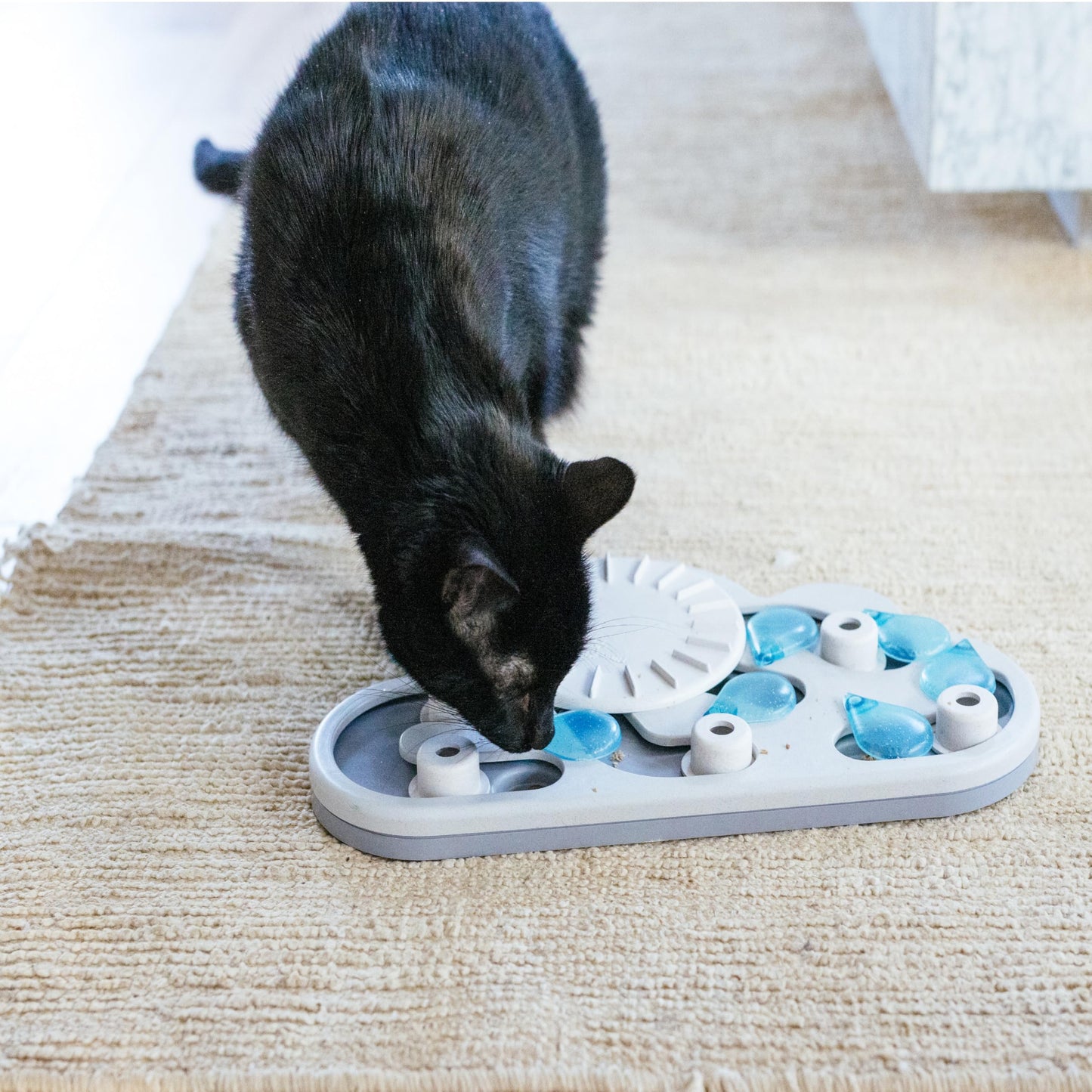 Catstages Nina Ottosson Rainy Day Puzzle & Play Cat. Chosen for real quality, fits naturally into