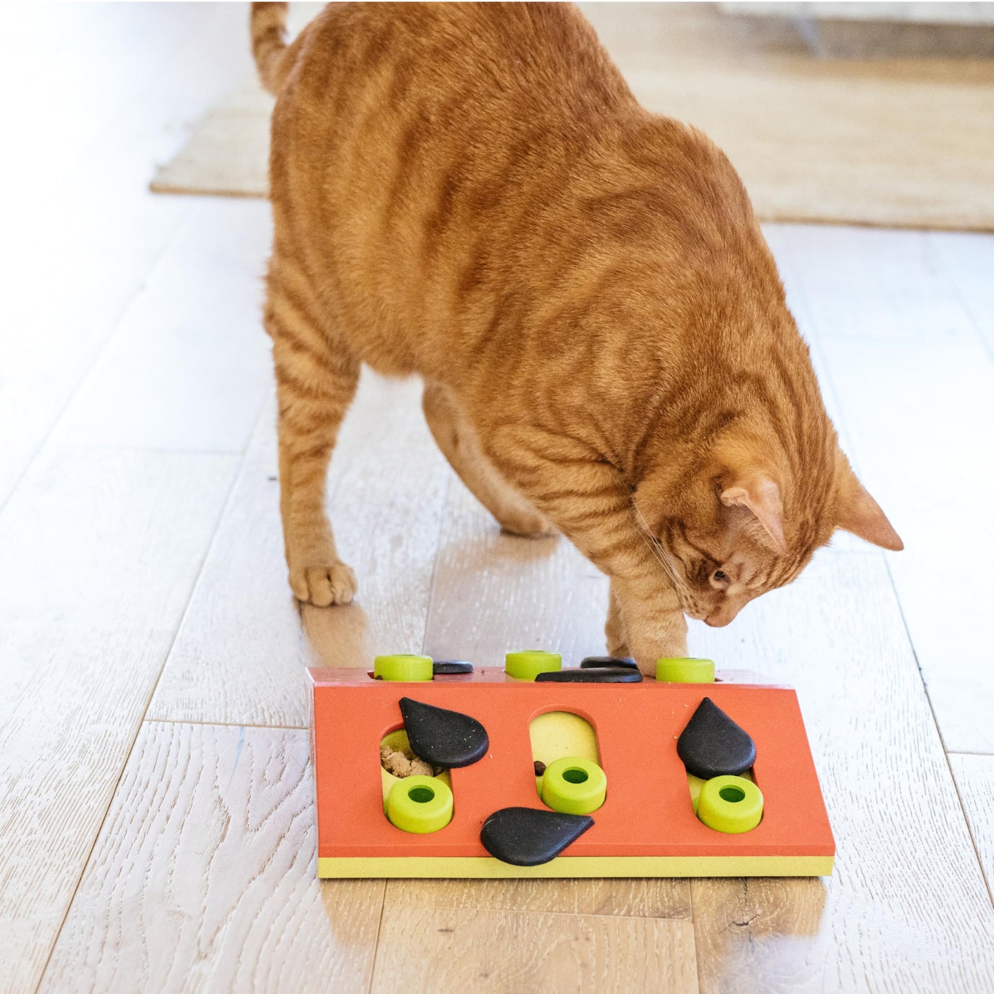 Catstages Nina Ottosson Melon Madness Puzzle & Play. Chosen for real quality, fits naturally into