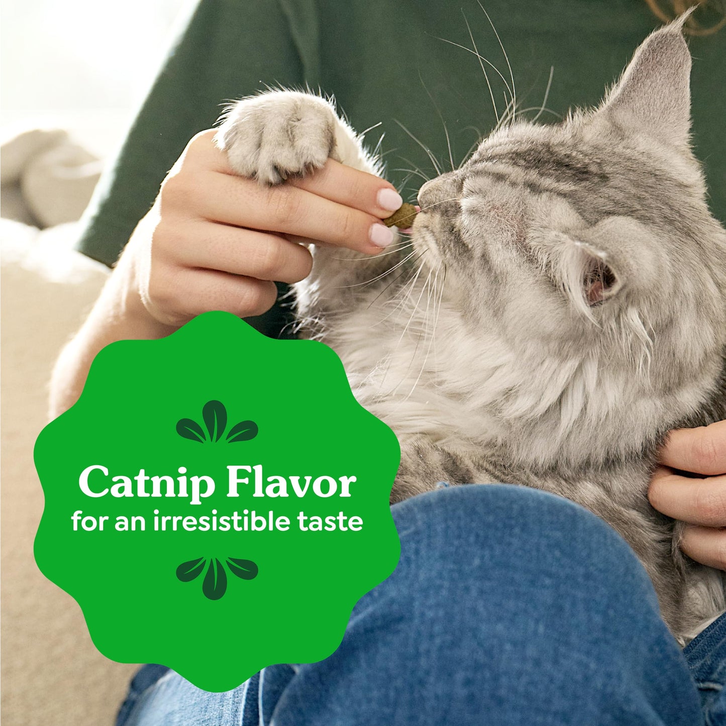 Greenies Feline Natural Dental Cat Treats. Chosen for real quality, fits naturally into modern pet