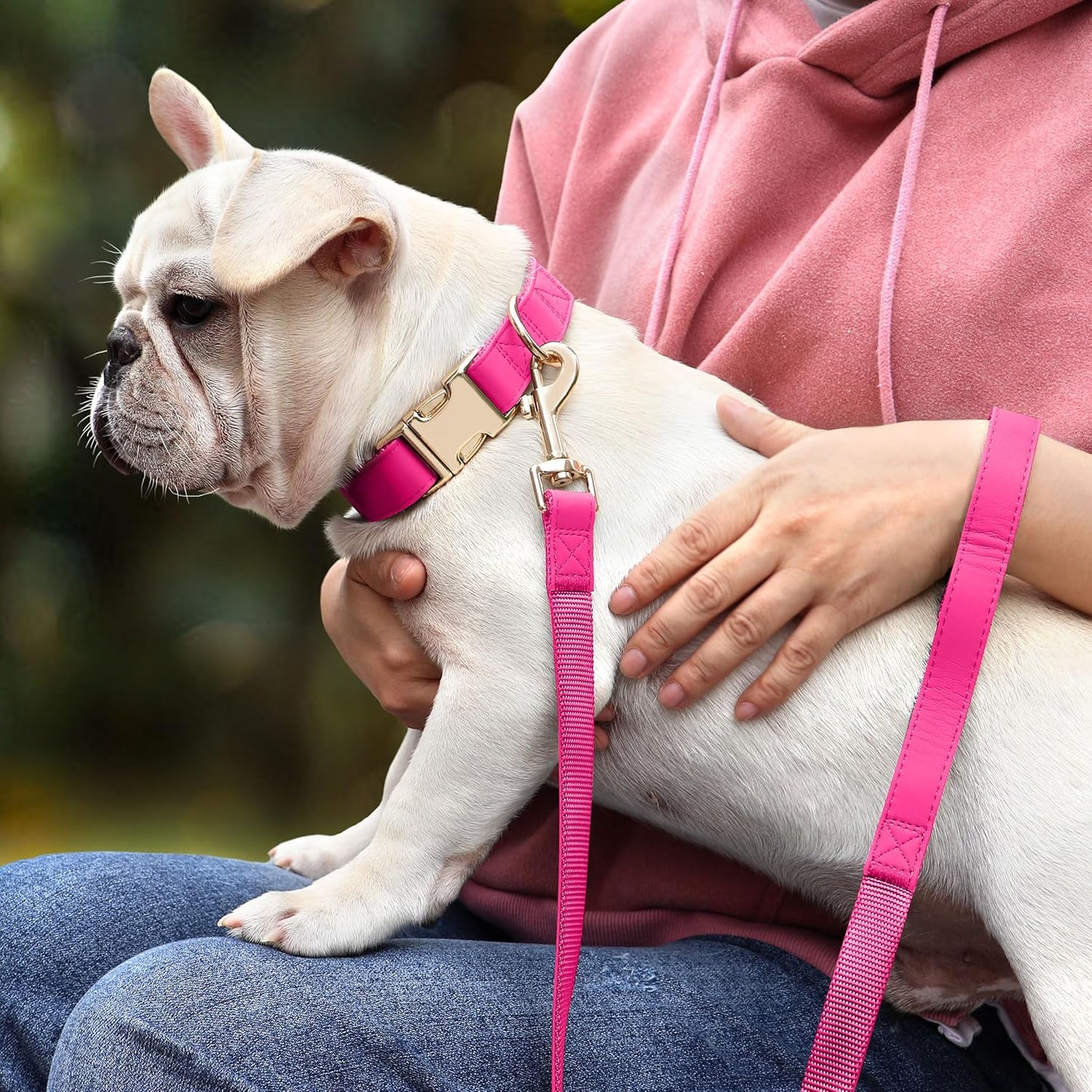 PET ARTIST Soft PU Leather Dog Collar, Bright & Stylish Hot Pink Dog Collar Girl with Quick Release Rose Metal Buckle, Nylon Padded Durable Pet Collars Adjustable for Small Dogs, Neck Fit 9-14"
