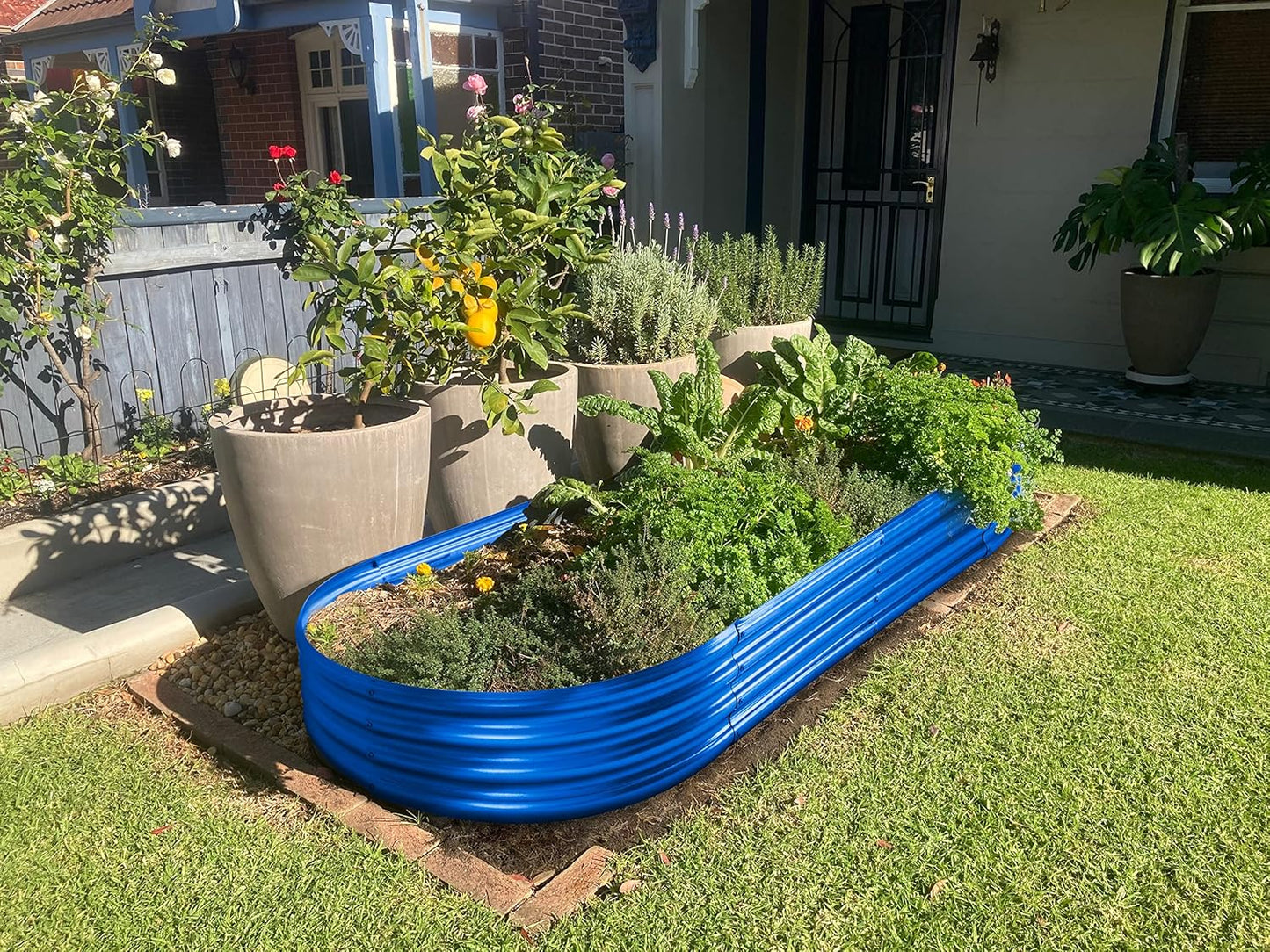Land Guard Galvanized Raised Garden Bed Kit, Galvanized Planter Raised Garden Boxes Outdoor, Oval Large Metal Raised Garden Beds for Vegetables 4 x 2 x 1ft(1pcs) (Blue)…