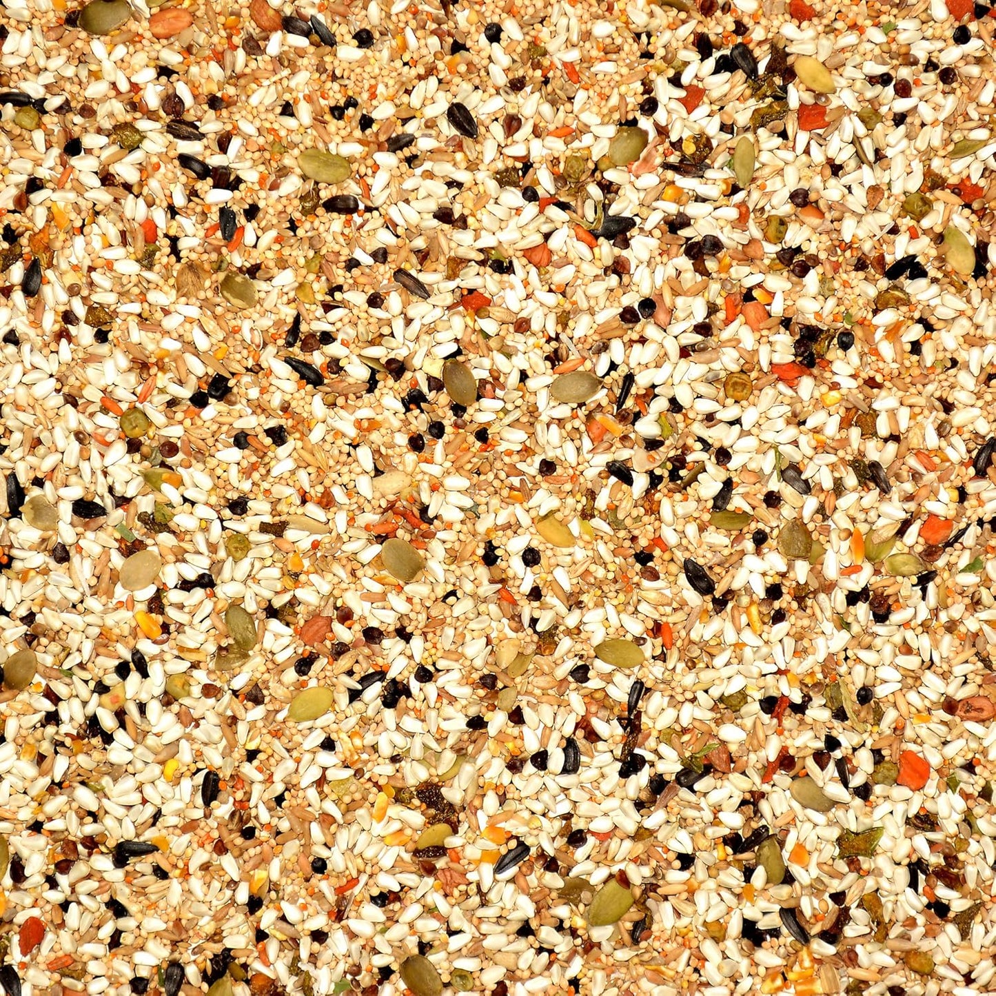 Volkman Avian Science Lovebird & Conure Bird Seed 4 Lb