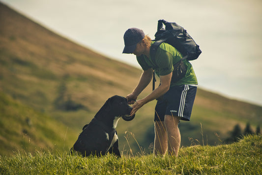 Weekend Hiking with Your Dog: Essential Gear Checklist