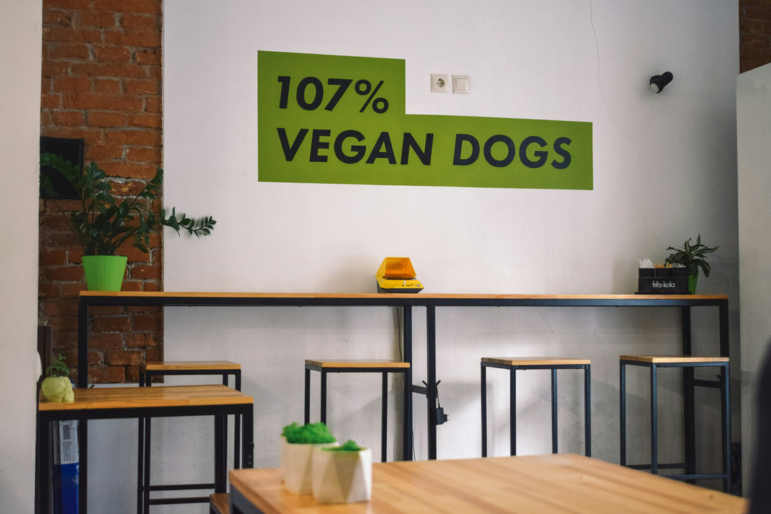 Vegan Pet Food: Is Plant-Based the Future? 🌱🐾