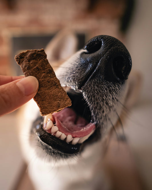 The Ultimate Guide to Choosing Pet Treats