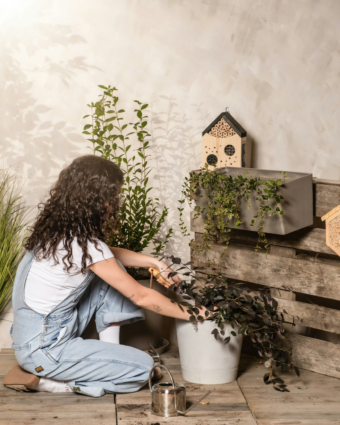 How to Create a Pet-Friendly Home