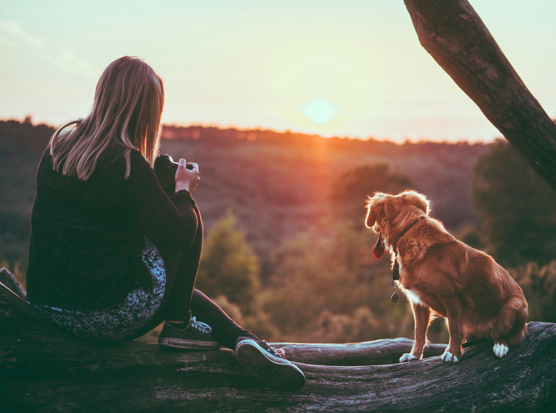 Reducing Waste as a Dog Owner: Small Changes Big Impact