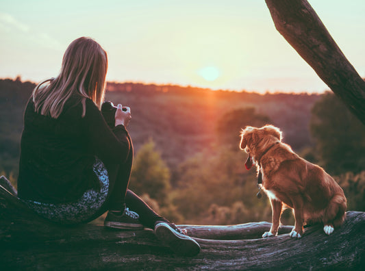 Reducing Waste as a Dog Owner: Small Changes Big Impact