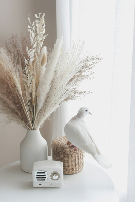The Complete Guide to Everyday Pet Wellness