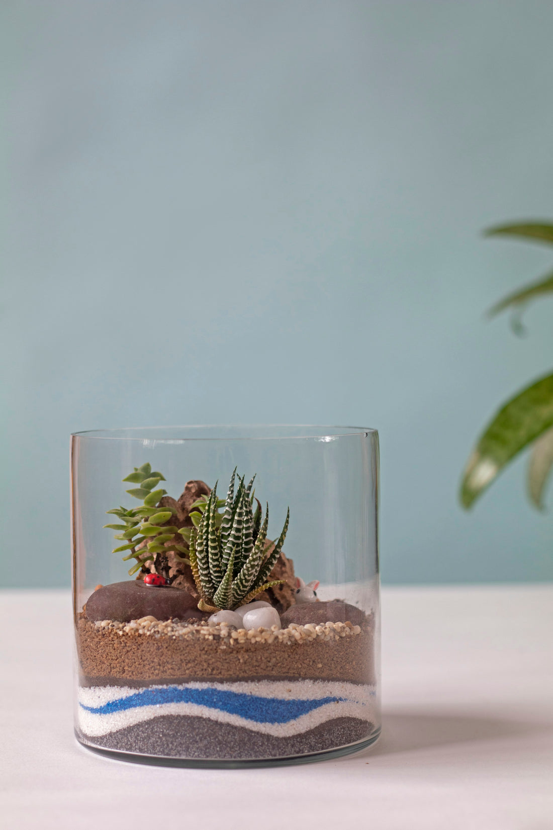 A warmly lit glass terrarium with live plants and textured decor