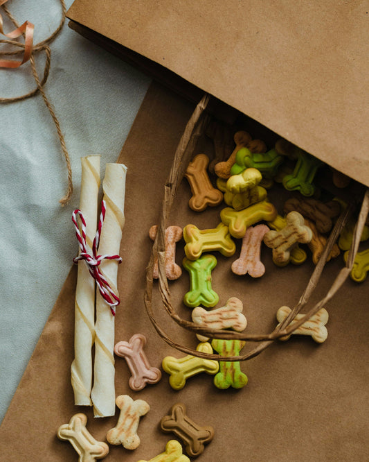 Homemade vs Store-Bought Pet Treats