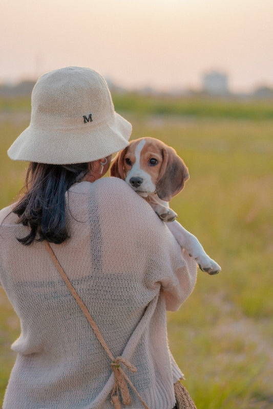 Outdoor Pet Safety Tips Every Owner Should Know