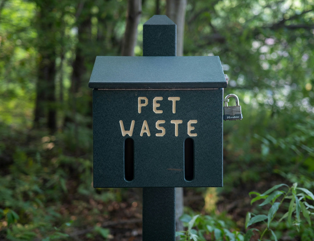 Zero-Waste Pet Packaging: Rethinking Consumption 📦♻️