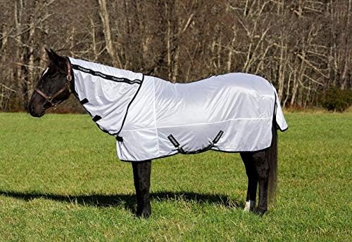 Horse Blankets & Sheets