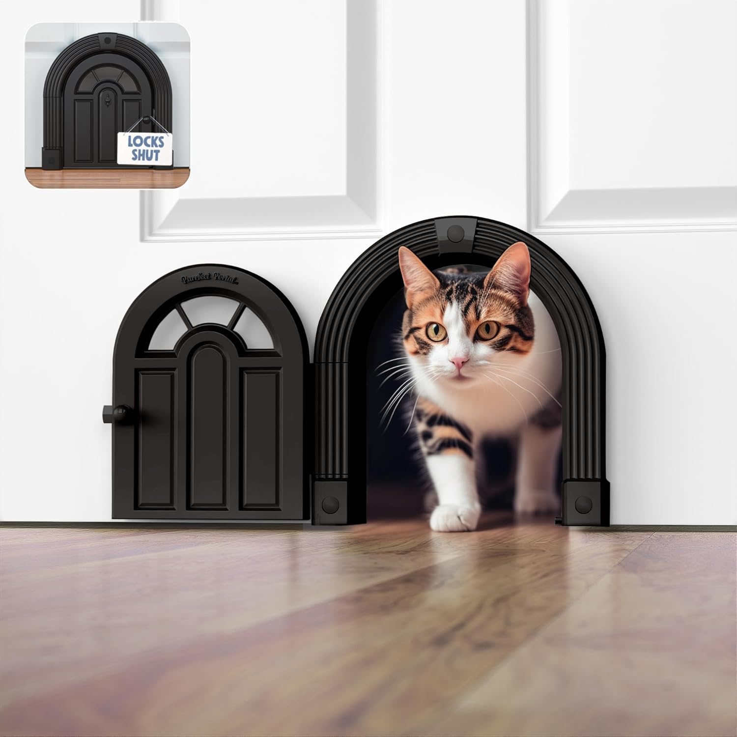 Cat Doors