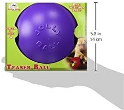 Jolly Pets Teaser Ball Dog Toy, Medium/6 Inches, Purple (1506 PR)