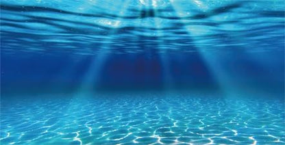 Natural Undersea Aquarium Background, Underwater Ocean Sunlight Fish Tank Background 30X18IN with 8 EVA Double-Sided Tape