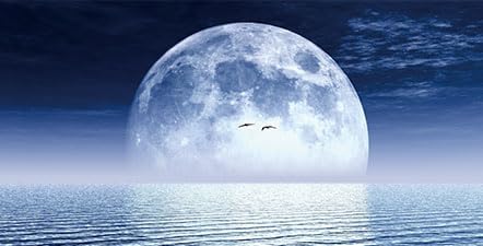 Moon Aquarium Background,Cool Sea Galaxy Parallel Space Themed Fish Tank Background, Cool Terrarium