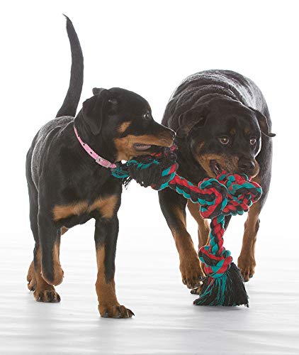 Mammoth Flossy Chews Multi Color 5 Knot Rope Tug. Chosen for real quality, fits naturally into