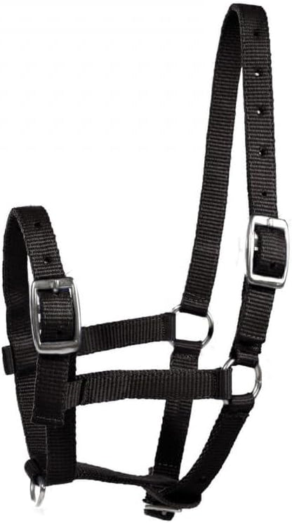 HORZE Adjustable Nylon Horse Halter for Foals, Colts, Fillies, Mini Horse Halter | Comfortable Small Horse Halter with Sturdy Buckles - Black - Foal