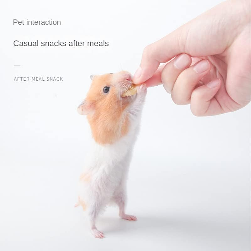 Hamster, Hedgehog, Lizard, Frog, Bird, Hedgehog, Snack, Nutritious, Food for Small Animals