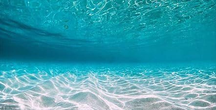 24X12IN Natural Undersea Aquarium Background, Undersea Beach Fish Tank Background, with 8 EVA Double-Sided Tape