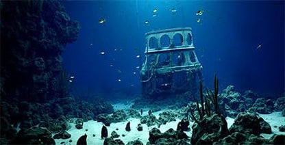 24X12IN Natural Underwater Aquarium Background, Pictures 3D Fish Reef Fish Tank Decoration Background, with 8 EVA Double-Sided Tape