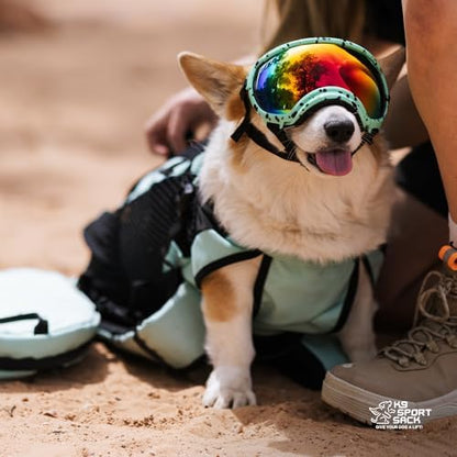 K9 Sport Sack Plus 2 - Small, Jet Black - Ideal for Dogs 13-16” Long - Adjustable, Backpack-Style Carrier with Multi-Functional Storage Pack, Thick Shoulder Straps & Padded Back Panel