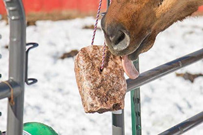 REDMOND - Rock on a Rope Unrefined Salt Rock for Horses 3 to 5 lbs (3 Pack)