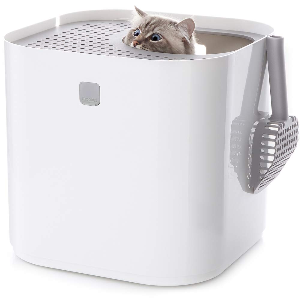 Modkat Top. Chosen for real quality, fits naturally into modern pet homes.