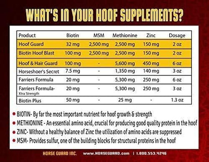 Horse Guard Hoof Supplements for Horses - 80 Servings - Biotin Hoof Blast 10lb Bag with 100mg Biotin per Serving - Concentrated Equine Hoof Health, Strengthener with MSM, Methionine, Zinc